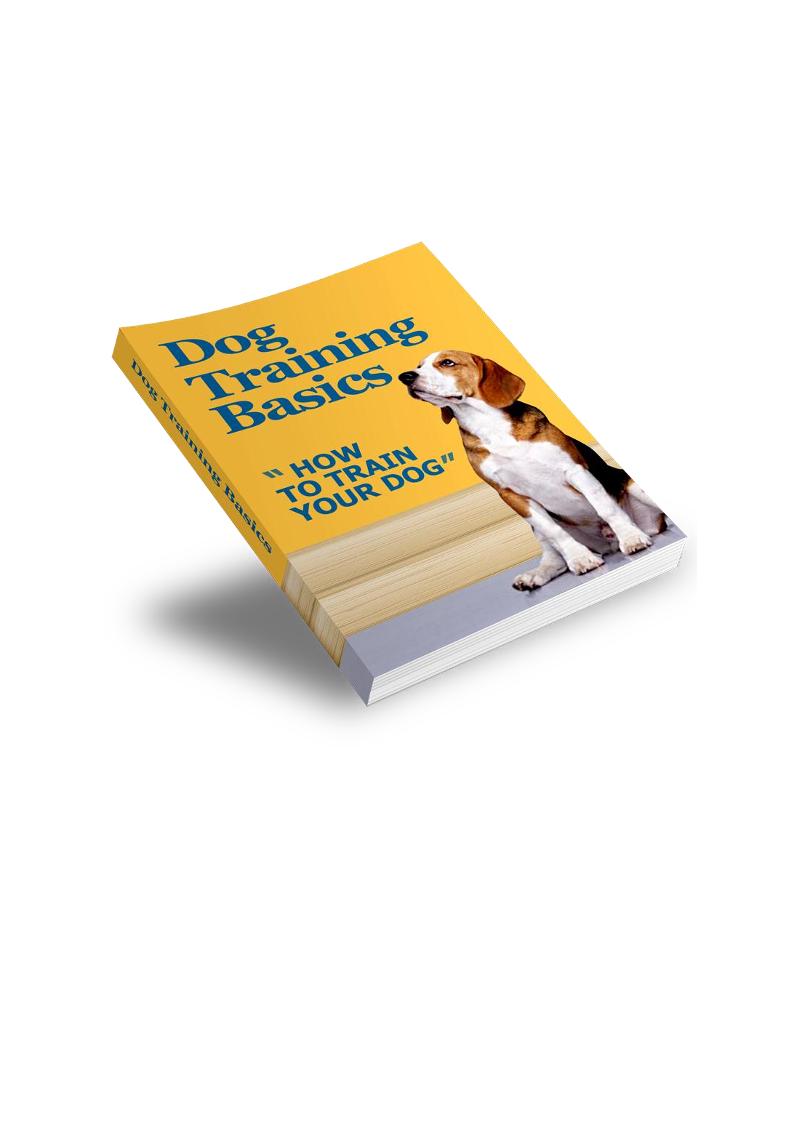 eBook: Essential Guide to Mastering Dog Training for Obedience and Joy