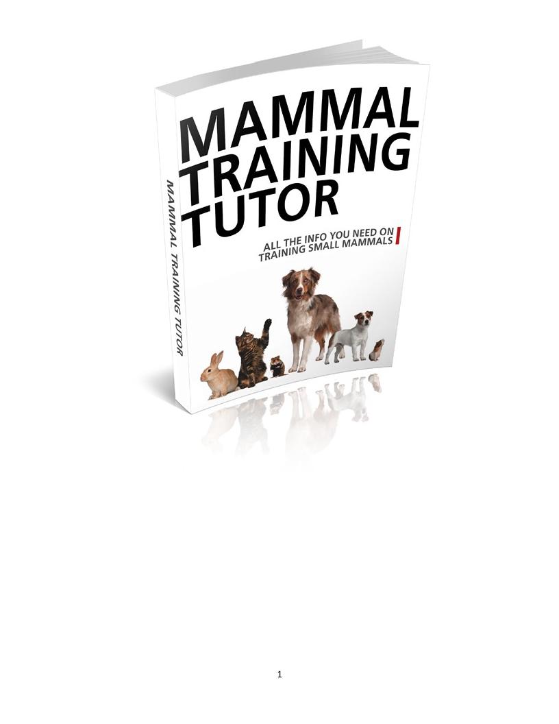 Ultimate eBook Guide to Training Small Mammals Successfully