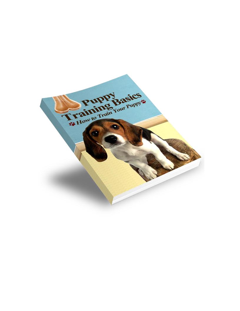 The Ultimate eBook Guide to Training Your Adorable Puppy Effectively