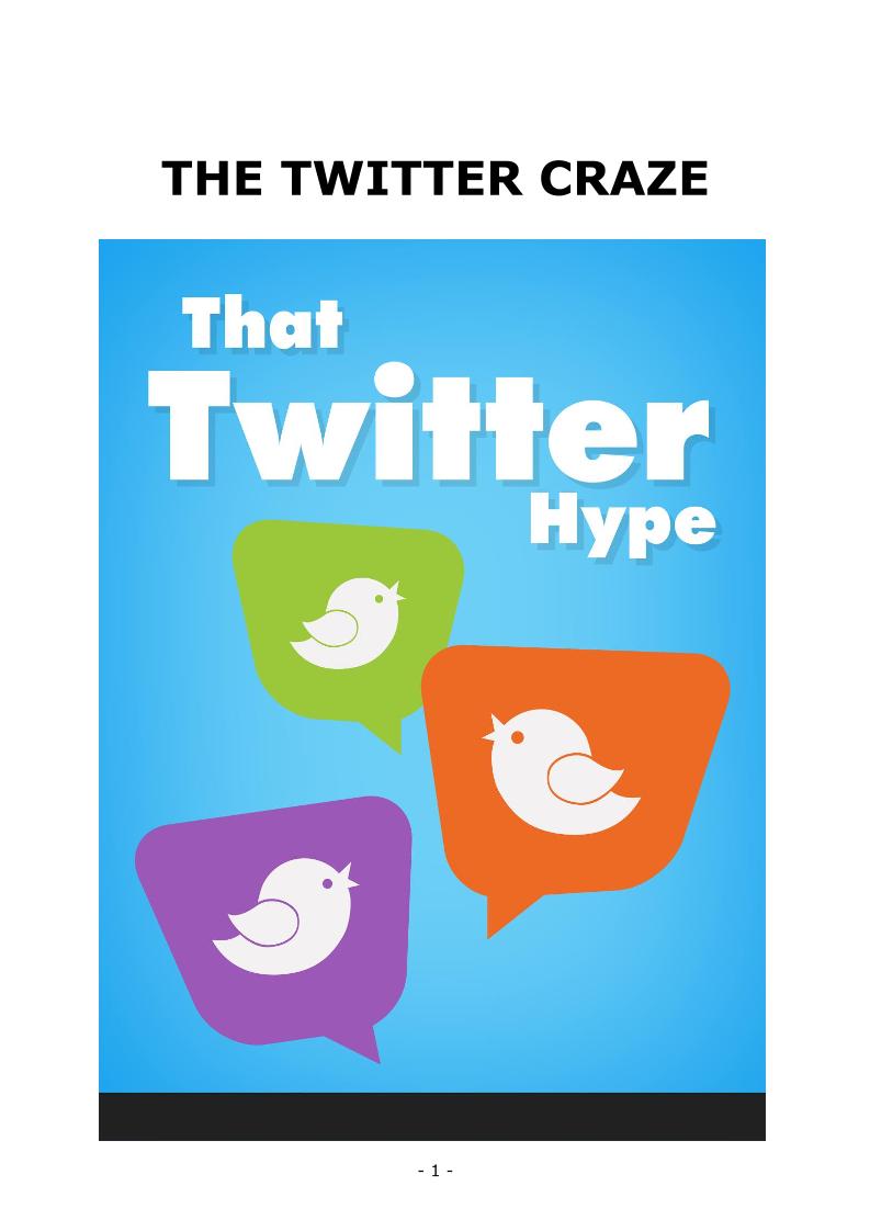 Unlock Twitter's Power for Marketing: The Ultimate Twitter Craze eBook