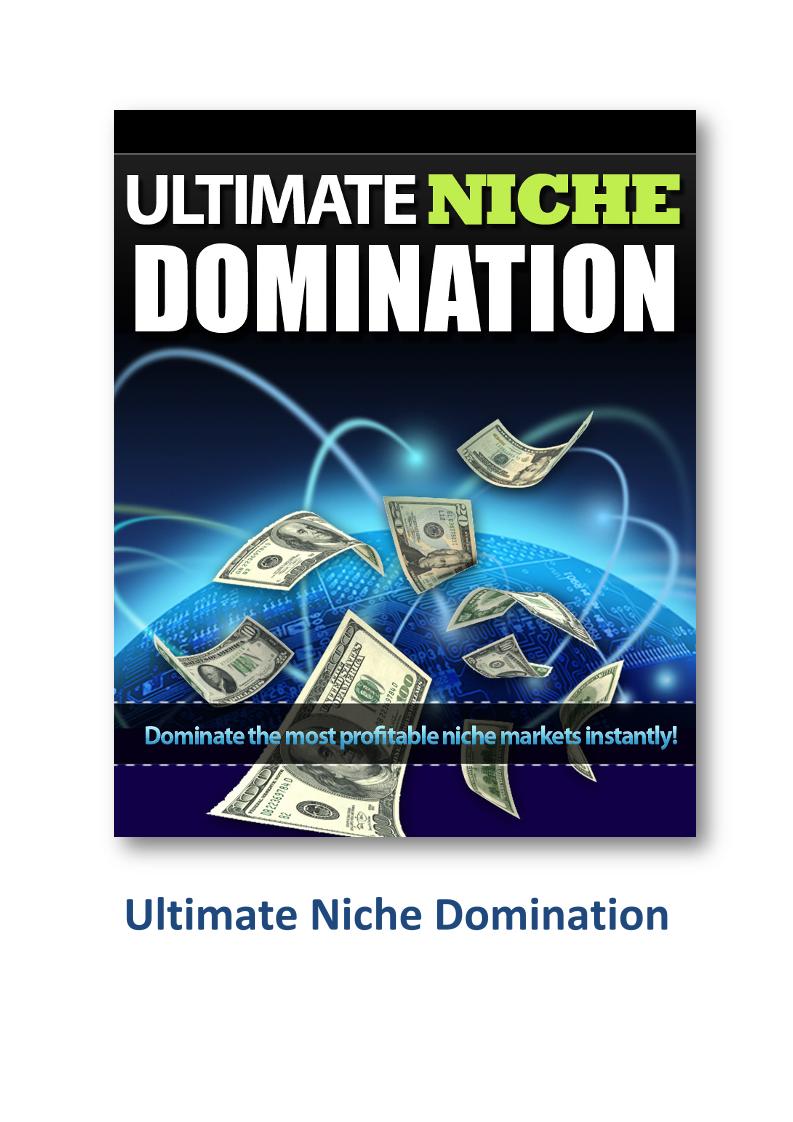 Discover the eBook: Ultimate Niche Domination Strategies for Online Success
