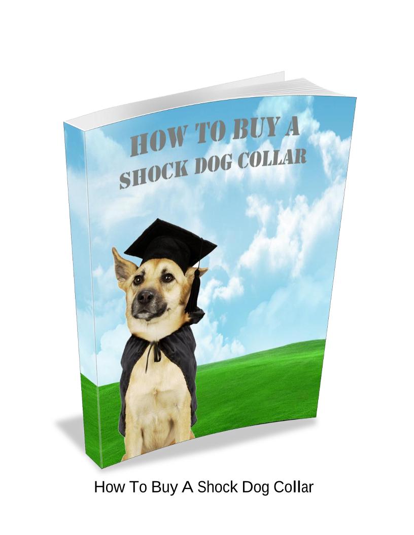 eBook: Mastering Shock Collars for Effective Dog Barking Control