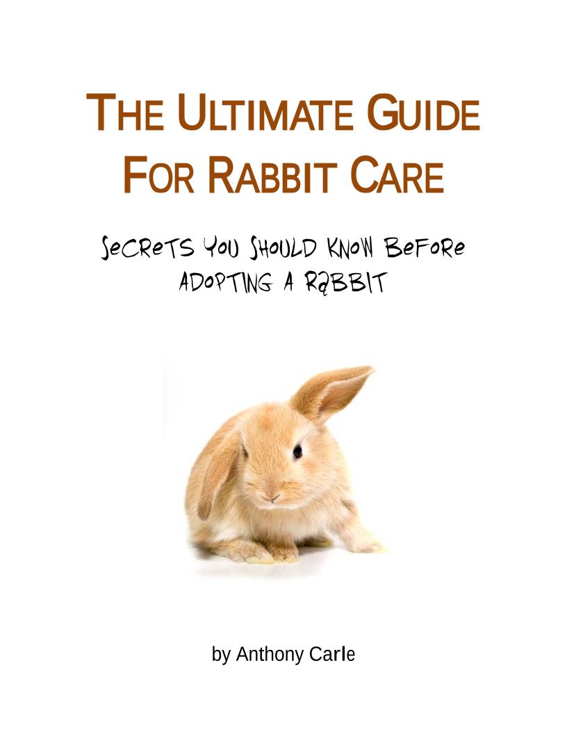 The Ultimate eBook Guide to Pet Rabbit Care and Cuddling