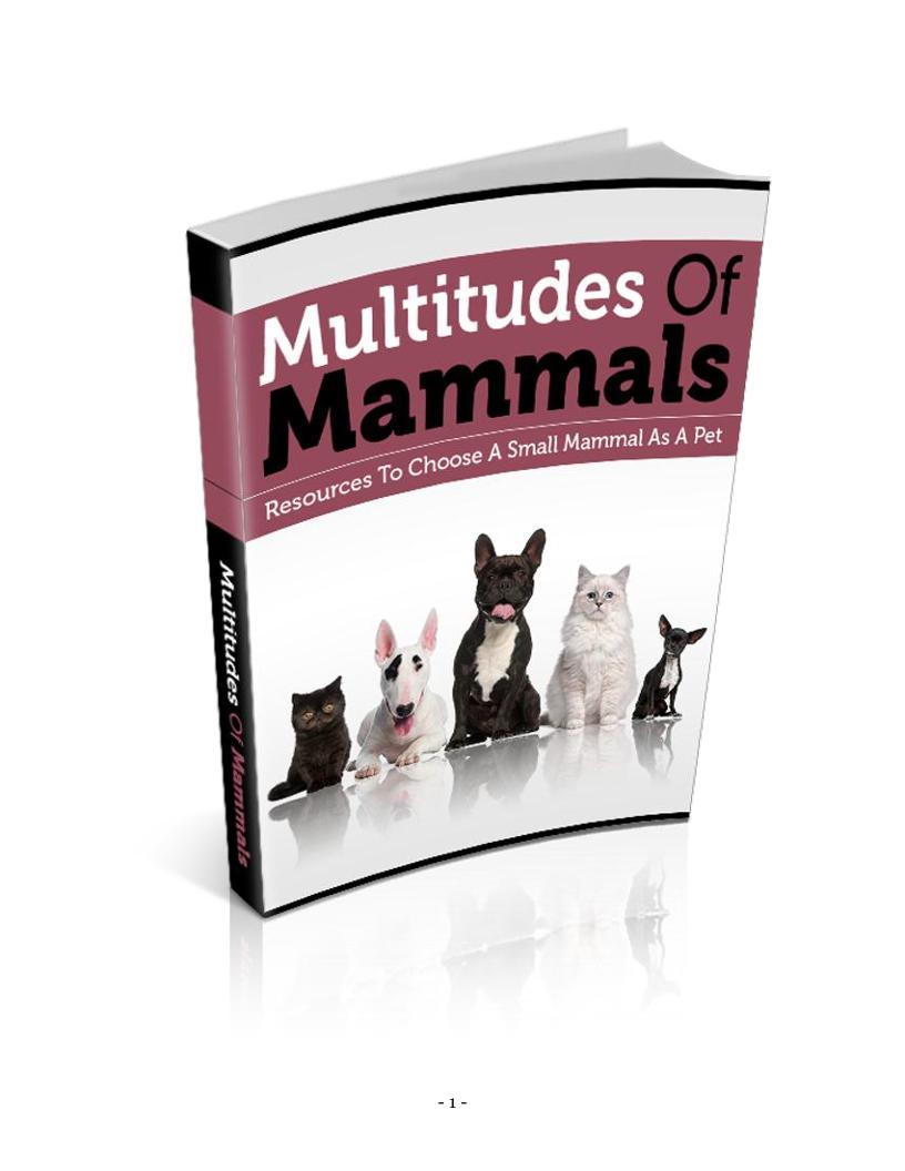 The Ultimate eBook Guide to Choosing and Caring for Small Mammal Pets