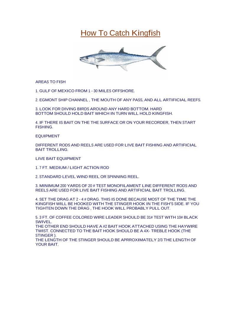 eBook: Mastering Kingfish Fishing Techniques for Beginners and Pros