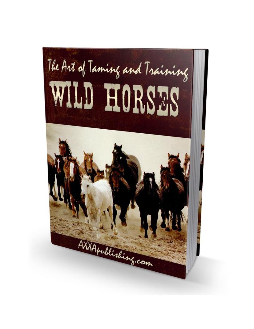 eBook: Mastering the Art of Taming Wild Horses
