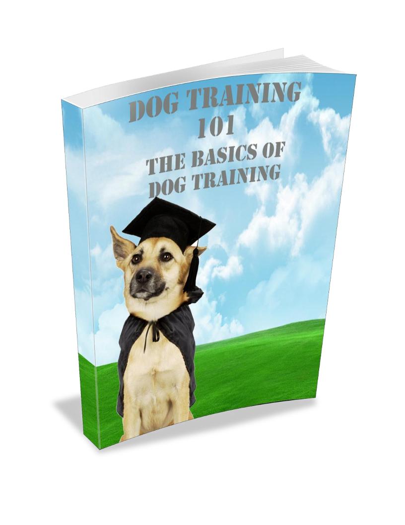 Discover the Happy Mutt Training System eBook for Perfect Pooch Parenting