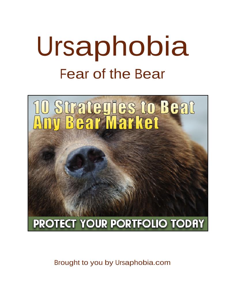 eBook: Discover 10 Essential Strategies to Survive and Beat Any Bear Market