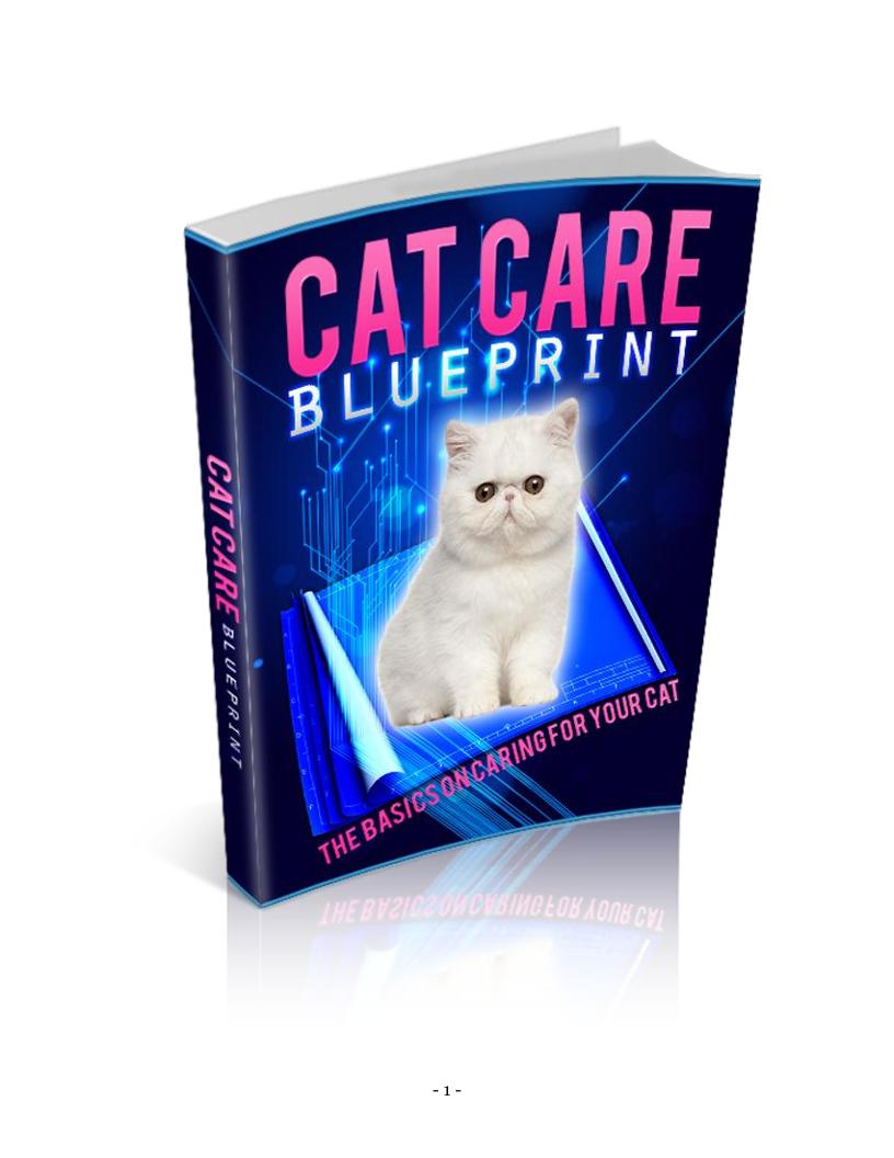 Essential eBook Guide to Cat Care and Training Basics