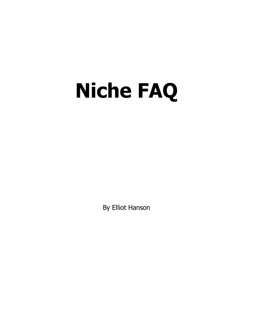 Master Niche Marketing Essentials with This eBook FAQ