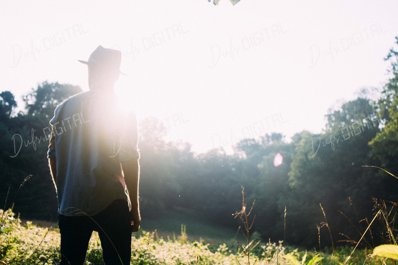 Sunlit Nature Exploration
