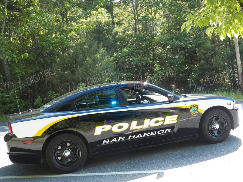 Police Car in Nature