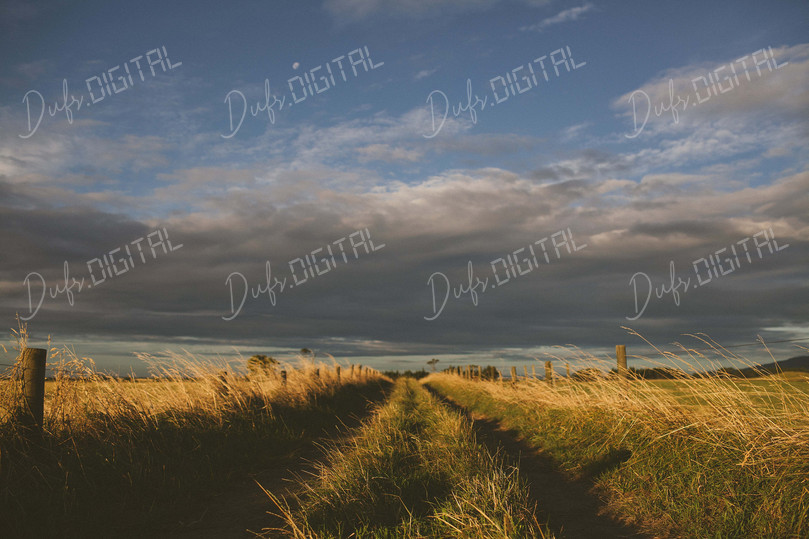 Serene Country Pathway