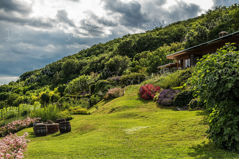 Lush Greenery Landscape