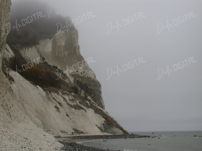 Foggy Coastal Cliff