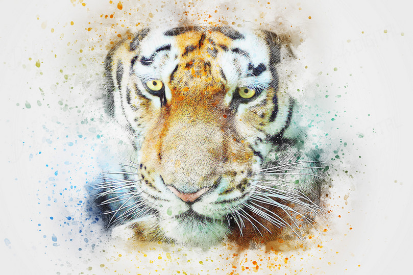 Vibrant Tiger Portrait
