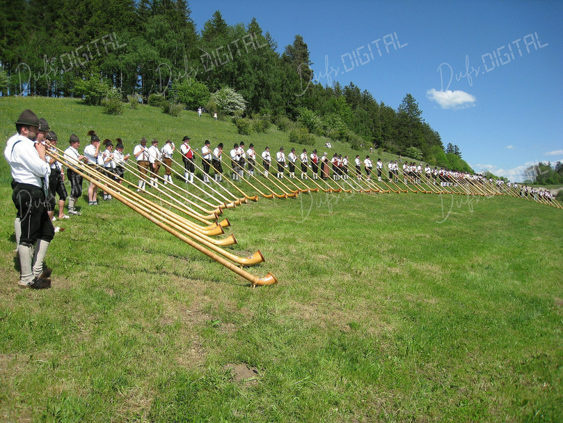Alpine Horns Performance