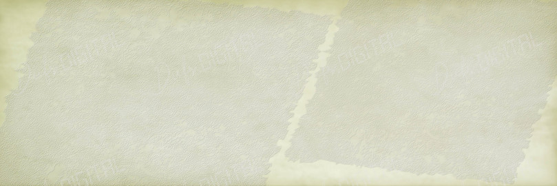 Textured Paper Background
