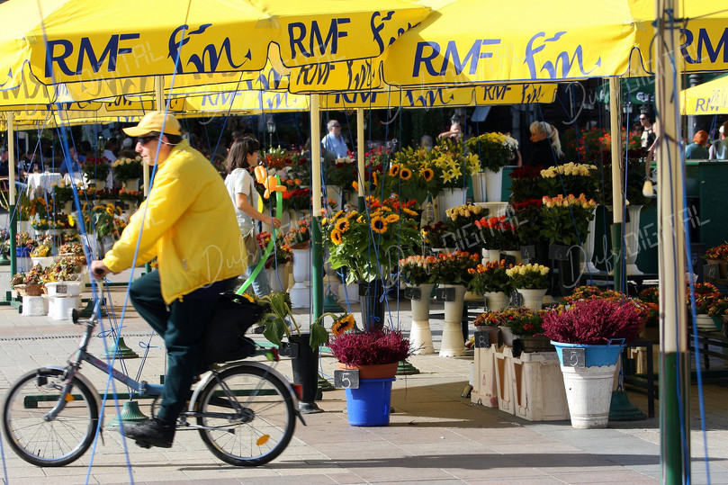 Biker at Flower Market