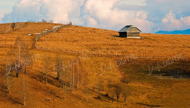 Serene Rural Landscape