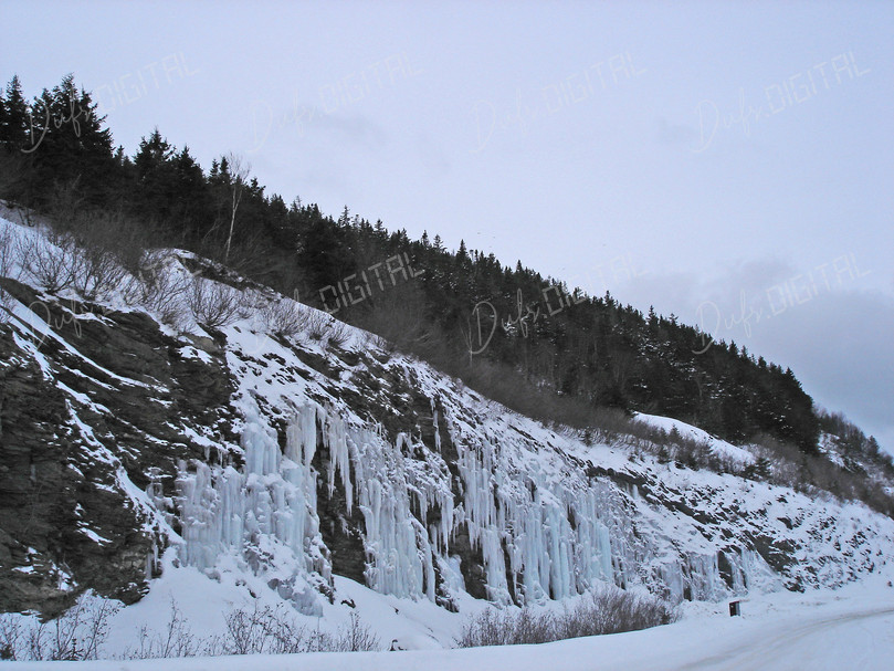 Frozen Winter Landscape