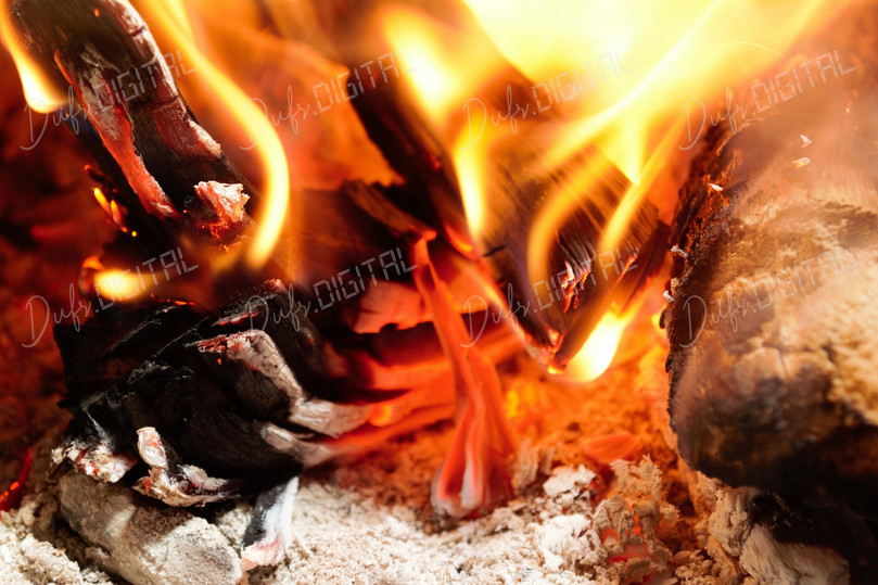 Burning Firewood Close-Up
