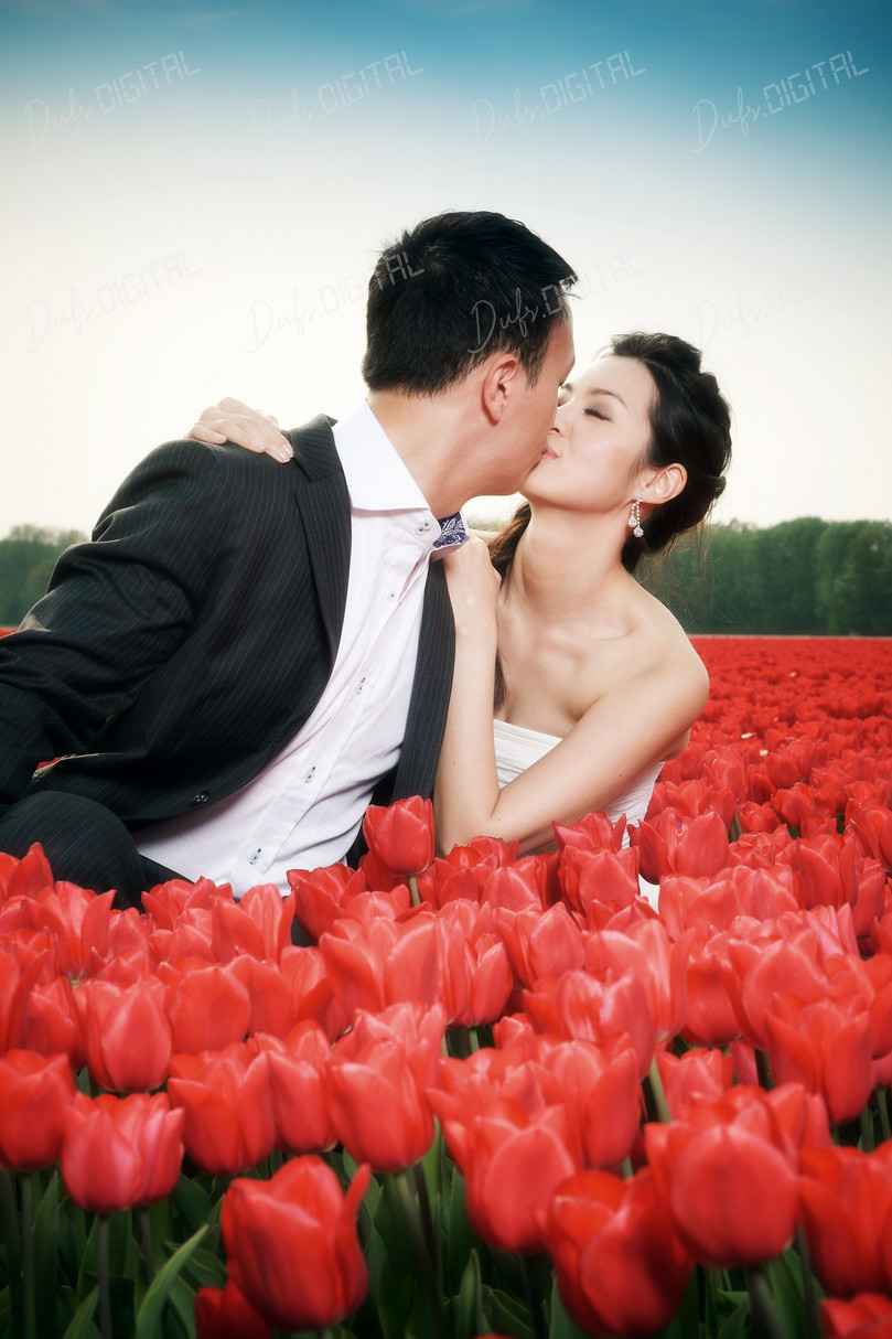 Romantic Kiss in Tulips