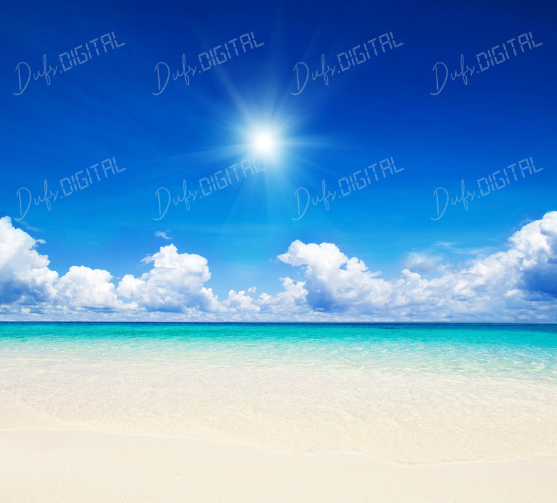 Tropical Beach Serenity