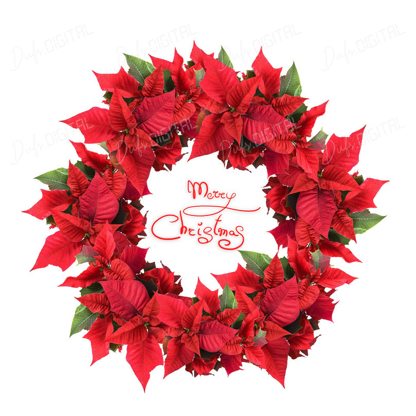 Christmas Poinsettia Wreath