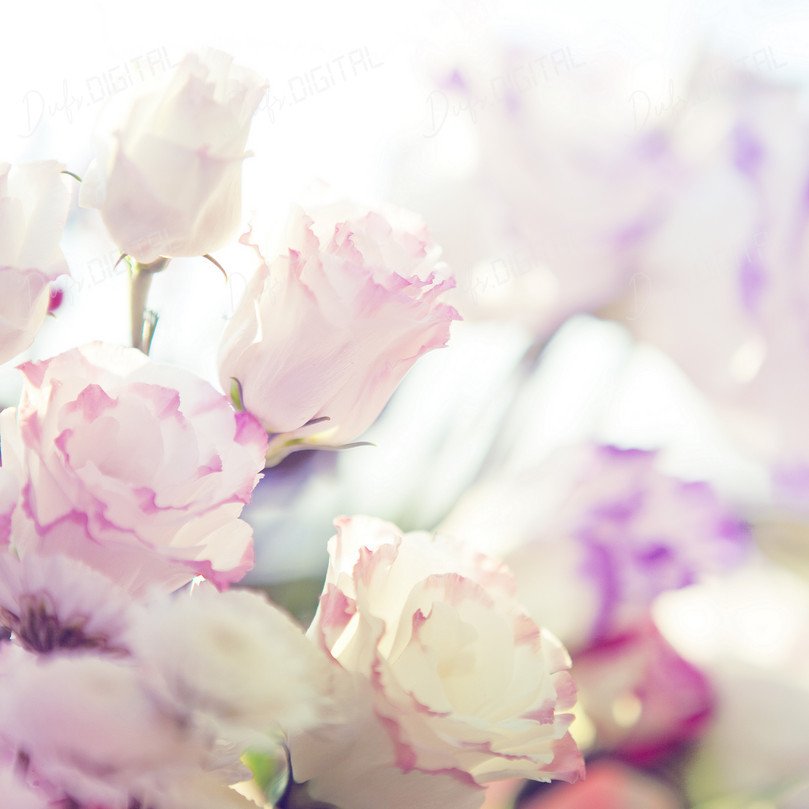 Delicate Floral Arrangement