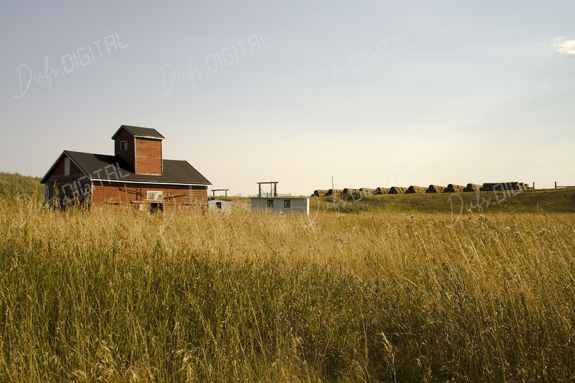 Rustic Farm Landscape