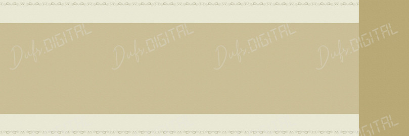 Minimalist Beige Background