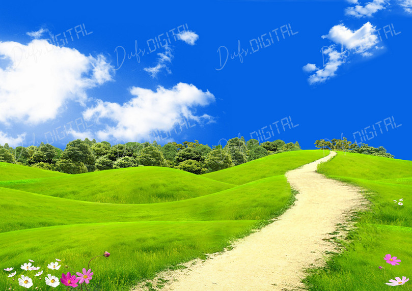 Scenic Green Landscape