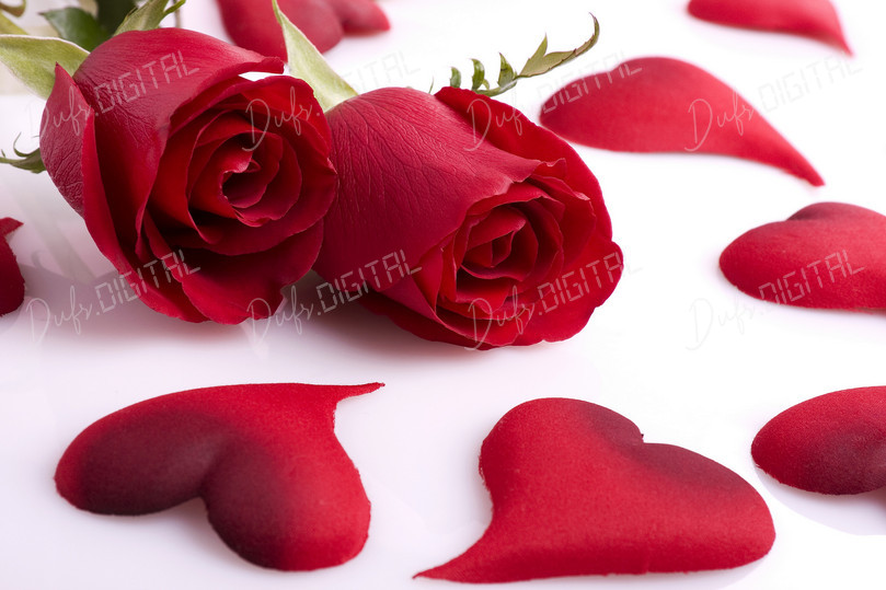 Roses and Heart Petals