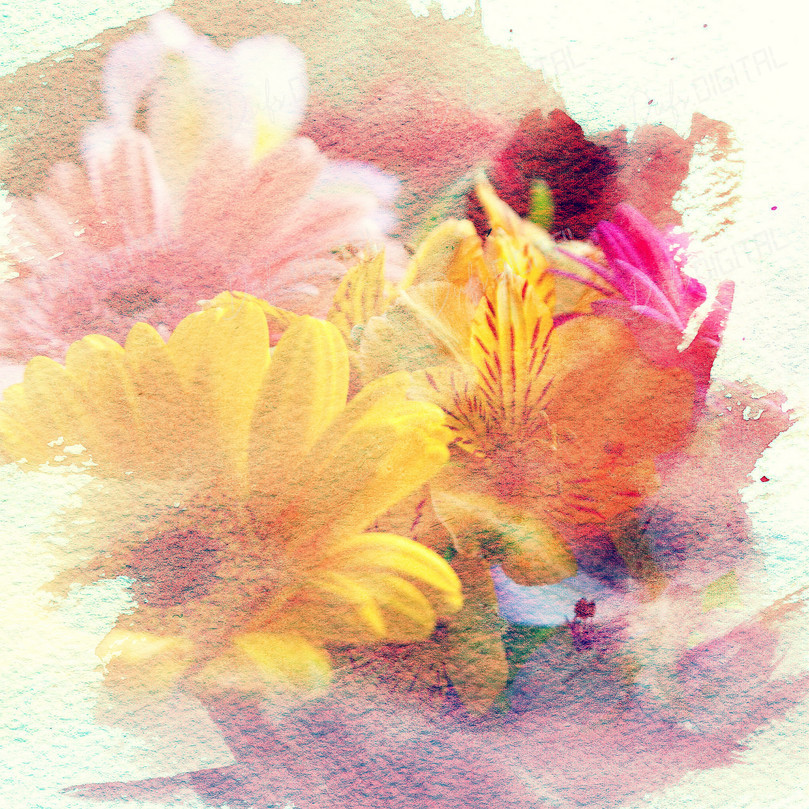 Colorful Floral Watercolor