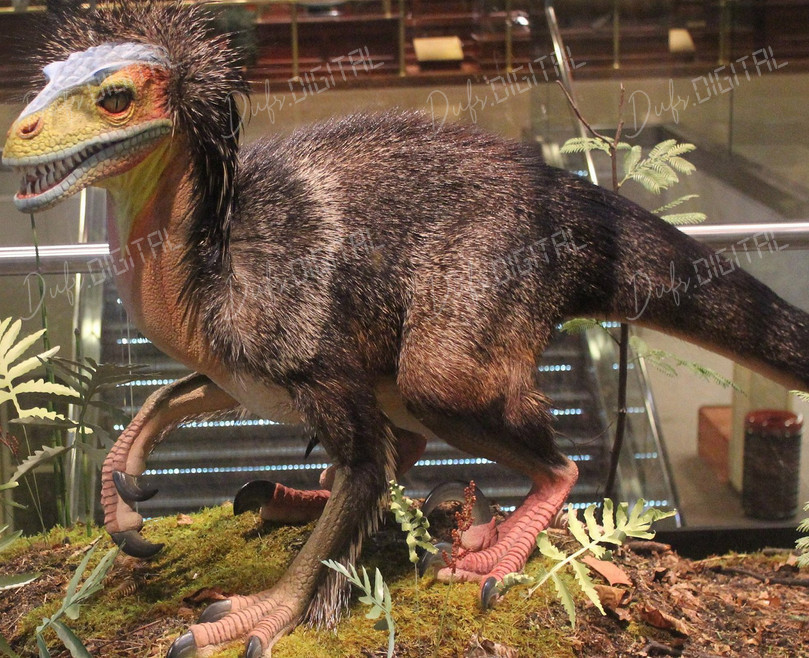 Colorful Dinosaur Model