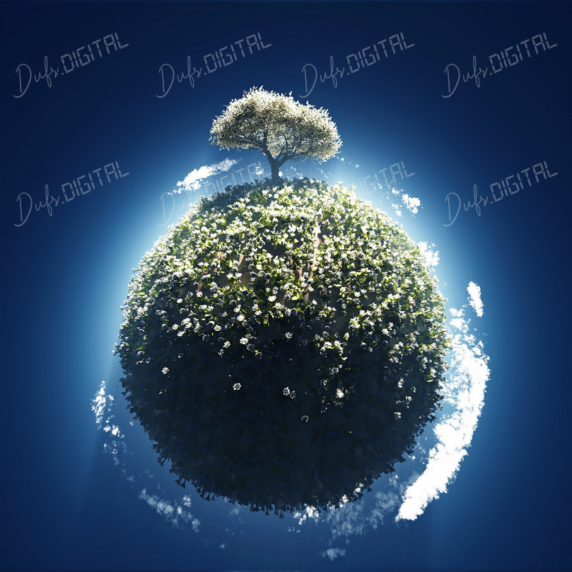 Floral Planet Concept