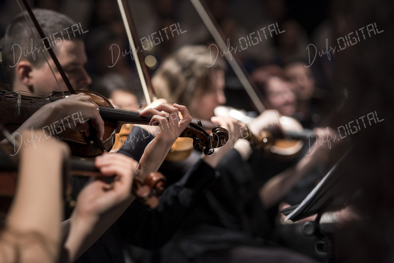 Orchestra Performance Close-up