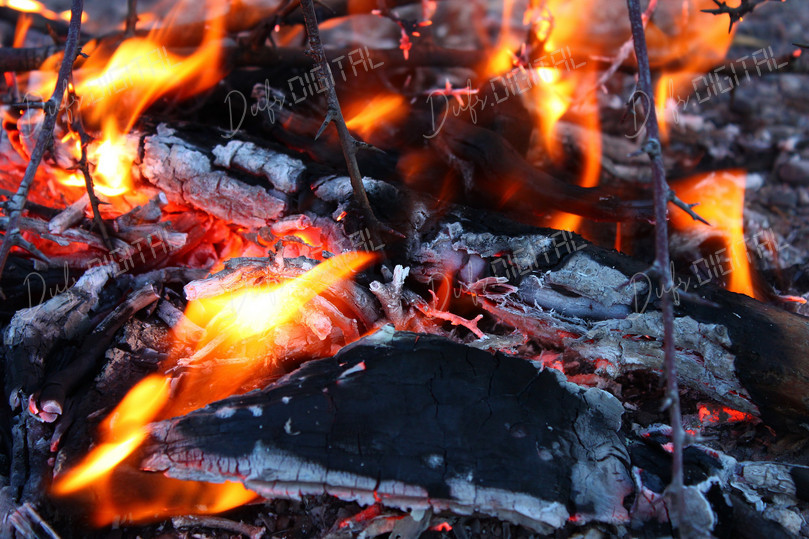 Burning Firewood Flames