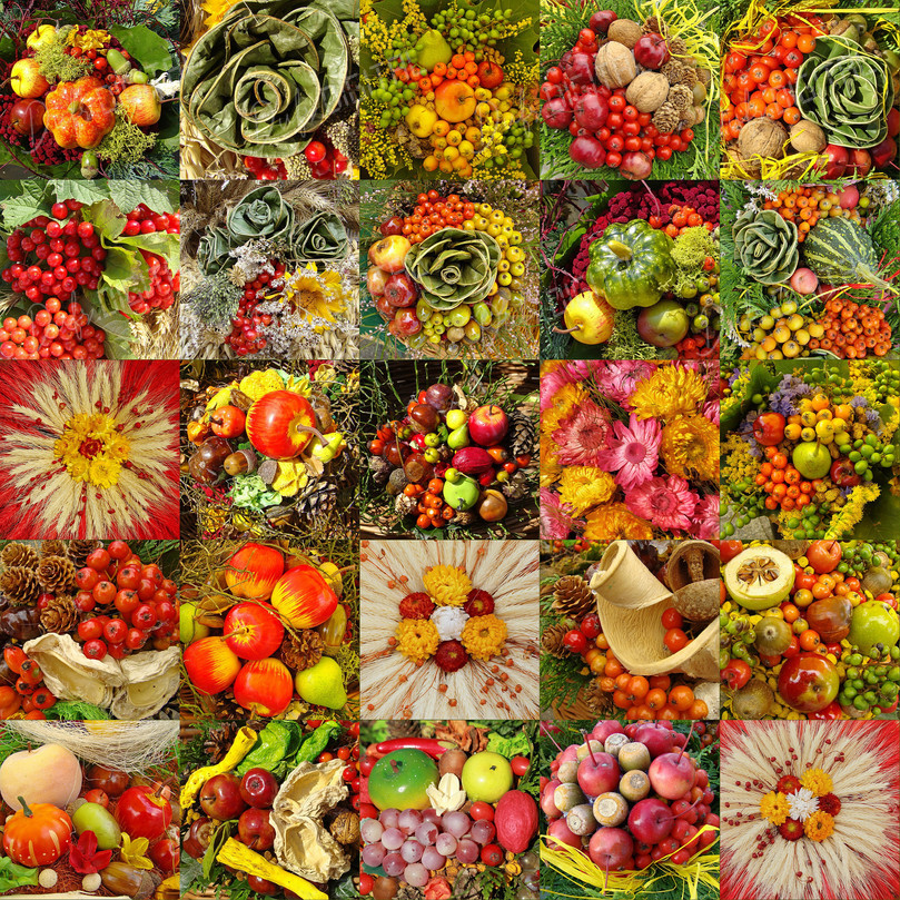 Colorful Fruit Arrangement