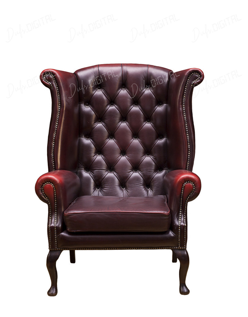 Elegant Leather Armchair