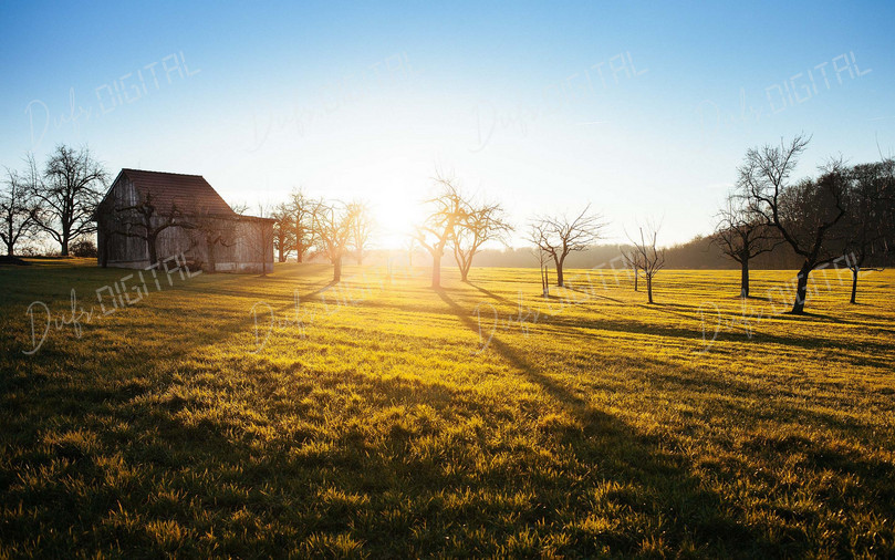 Sunrise Over Farm Fields
