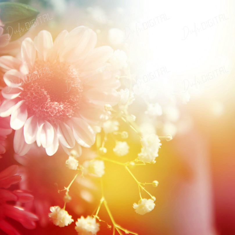 Bright Floral Arrangement