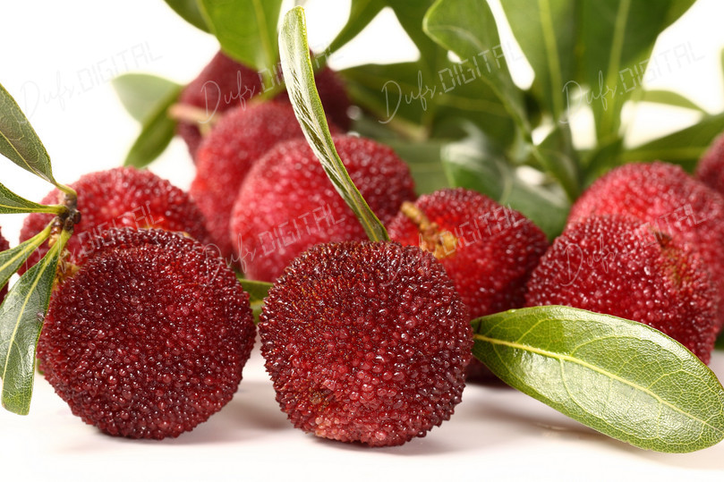 Fresh Berries Arrangement