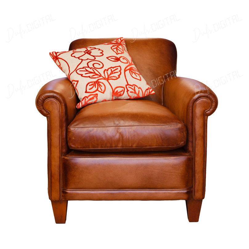 Cozy Leather Armchair