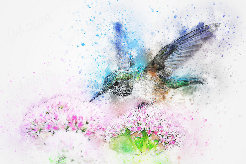 Colorful Hummingbird Illustration