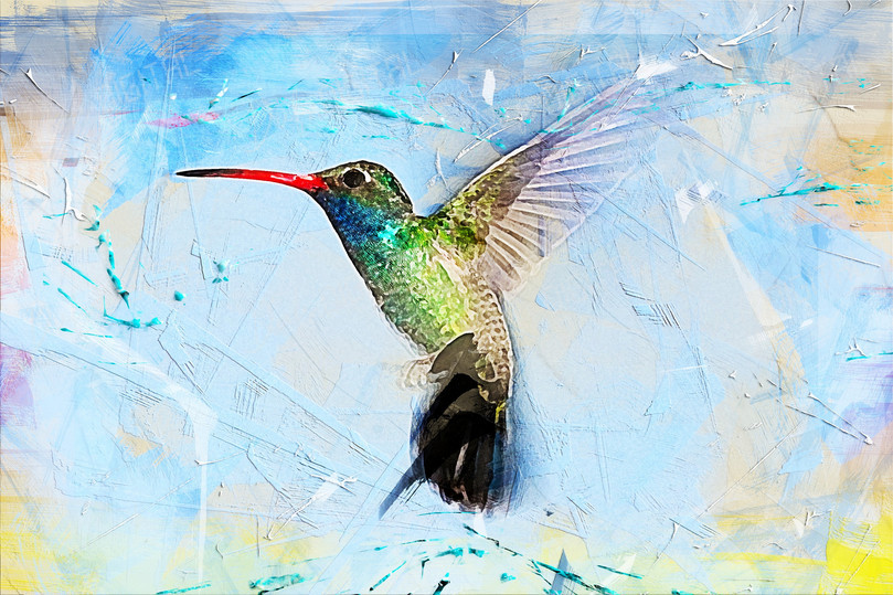 Colorful Hummingbird Illustration