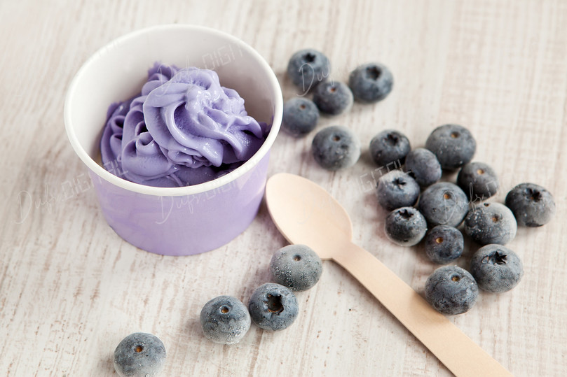 Blueberry Ice Cream Delight