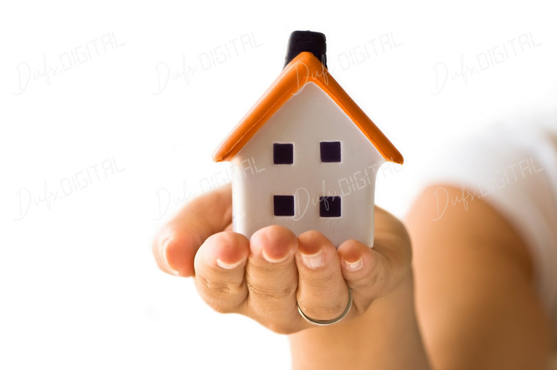 Home Model in Hand
