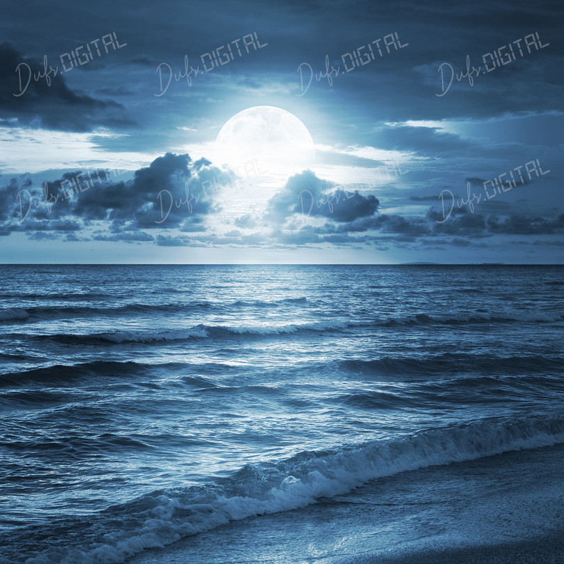 Moonlit Ocean Waves